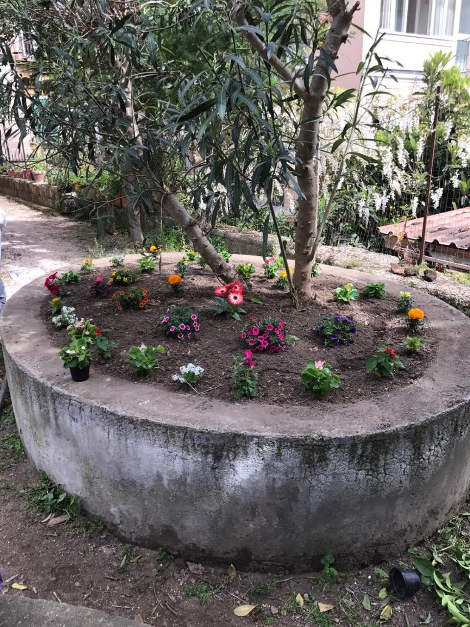 Il Giardino Di Vico Neve Bed & Breakfast Наполи Екстериор снимка
